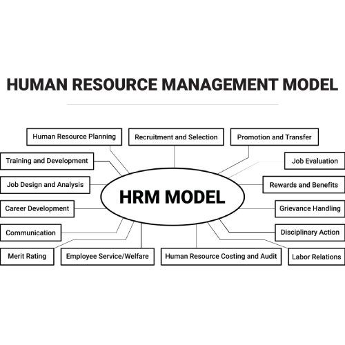 شایستگی های مدیر منابع انسانی